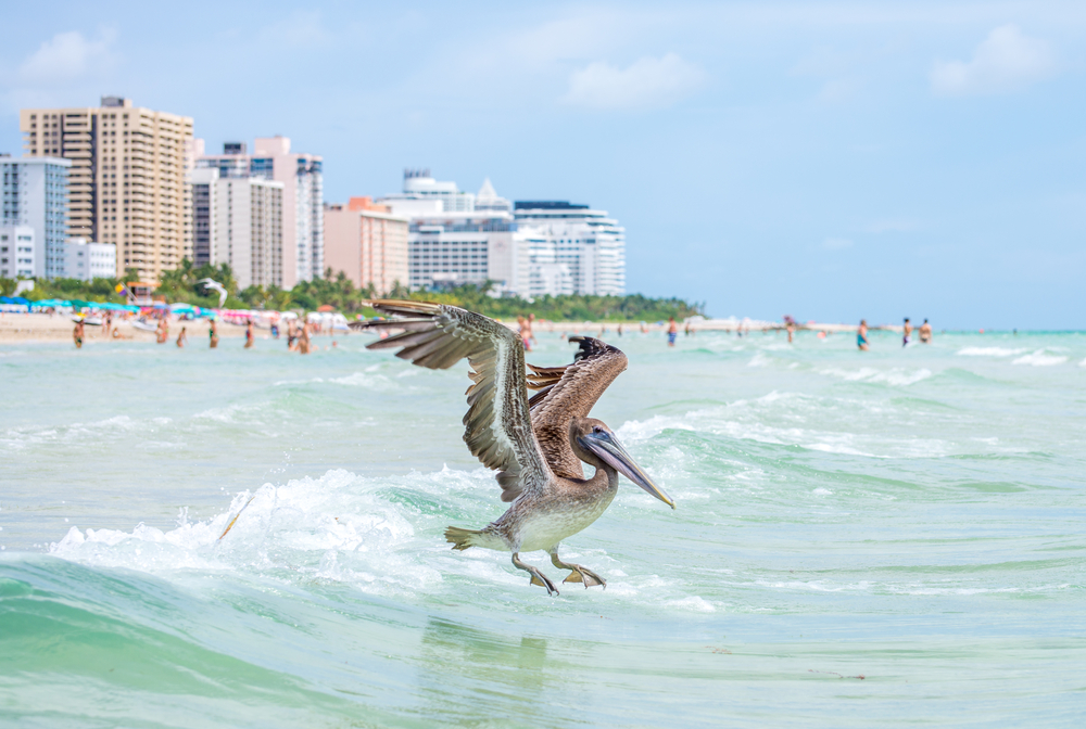 Florida Beach